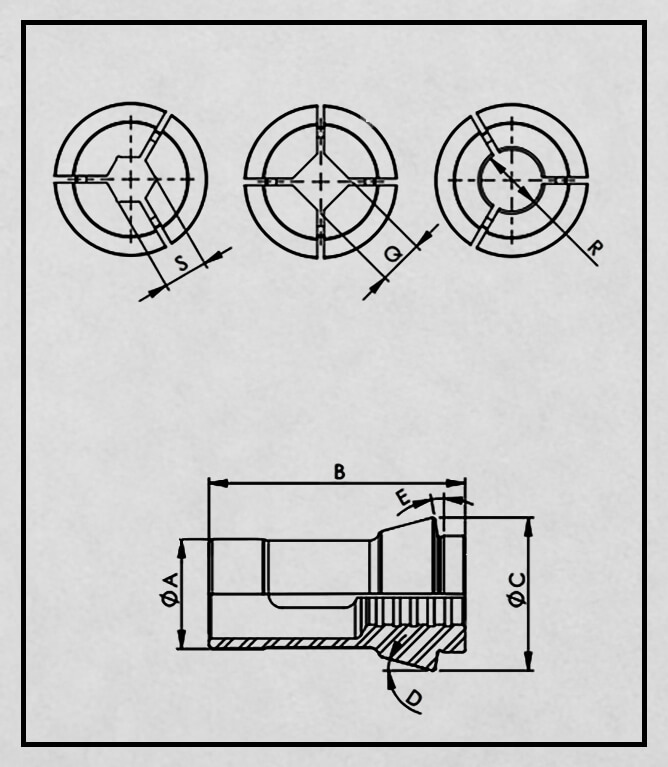 desenho técnico da castanha